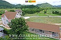 Shingle_Roof_Cedar_Roof_Line-id-0819122823-oak-dt-project-CRP-1-023.jpg